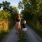 Family Walking